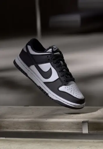 DUNK LOW